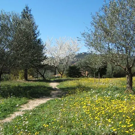 La Radassiere