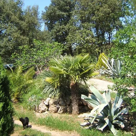 La Radassiere *
